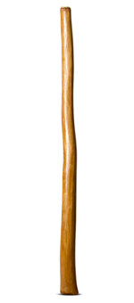 Gloss Finish Didgeridoo (TW922)